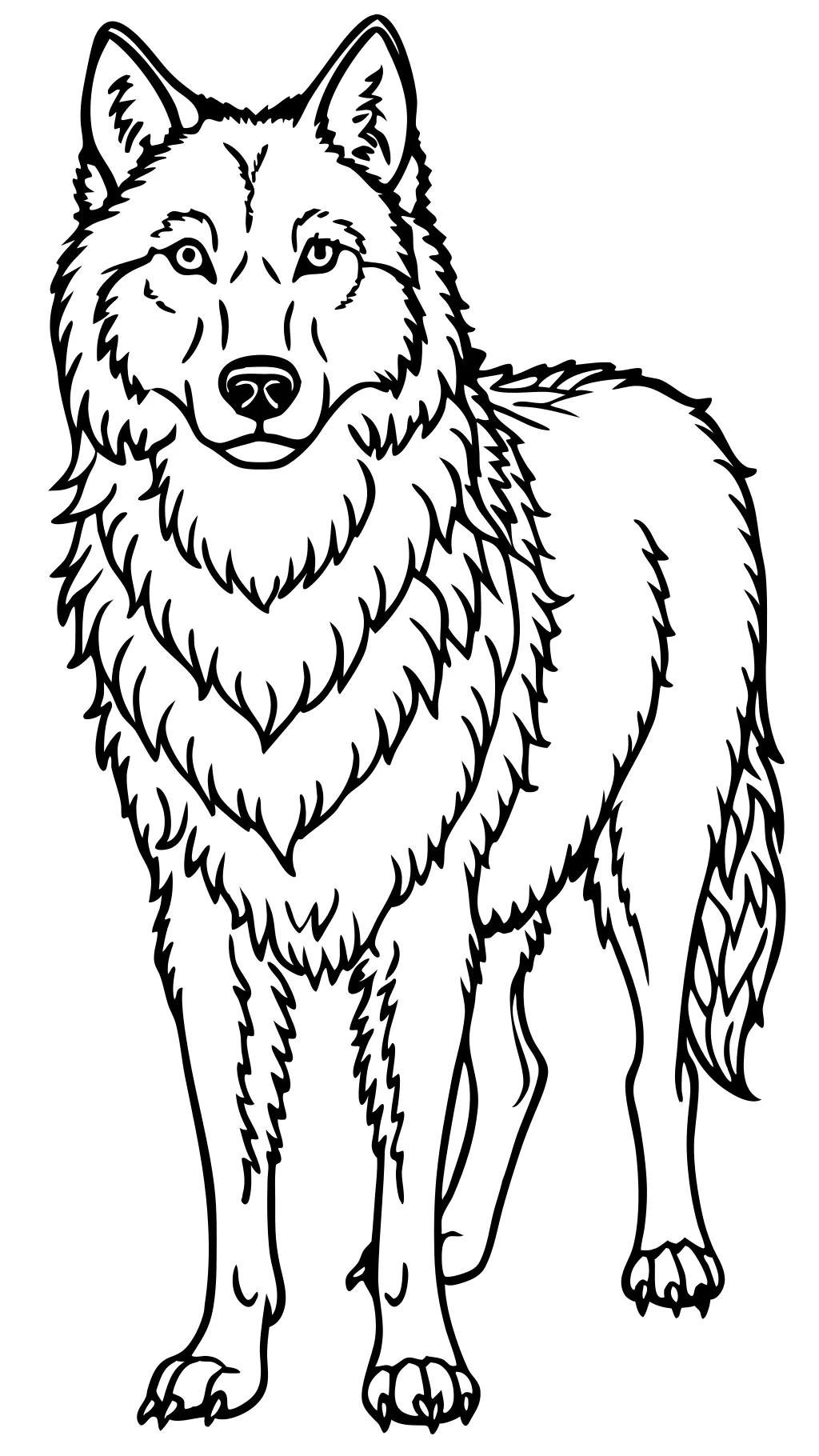 coloriages réalistes des loups